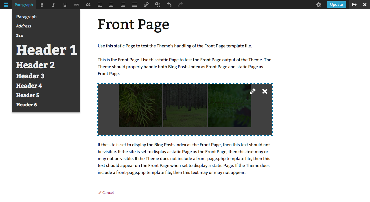 frontend-editing