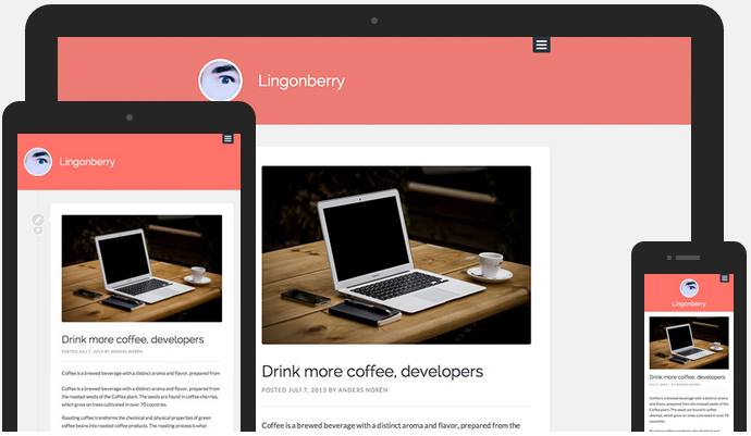 Anders Norén on Achieving Simplicity in WordPress Theme Design