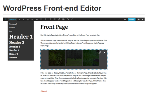 WordPress Front-end Editor