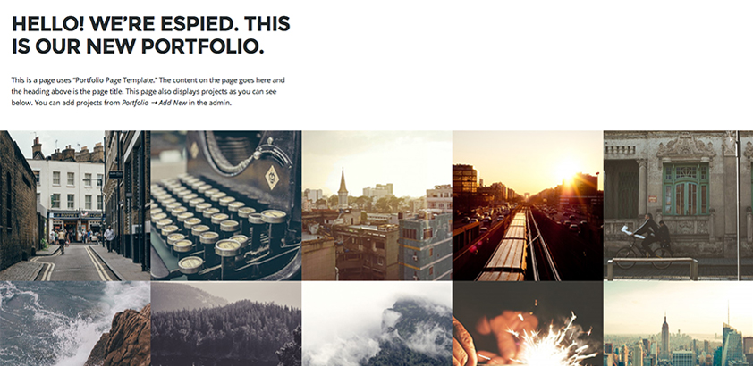 Espied: A Free WordPress Portfolio Theme for Designers and Photographers