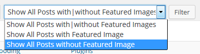 Featured Image Filtering Options