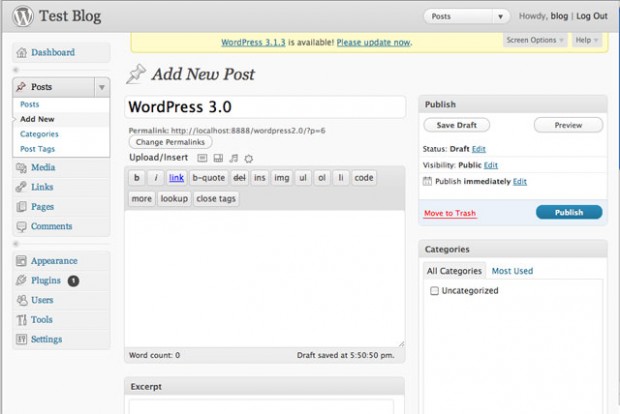 WordPress 3.0 Post Editor Interface