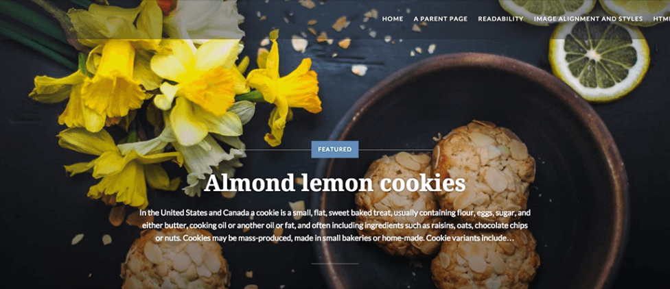 Dyad: A Beautiful Free WordPress Theme for Photographers and Foodies