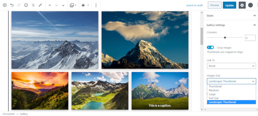 Screenshot of selecting a custom image size for the Gallery Gutenberg block.