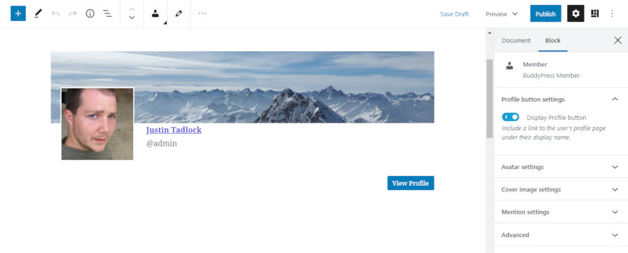 Screenshot of the BuddyPress Member block in the block editor.