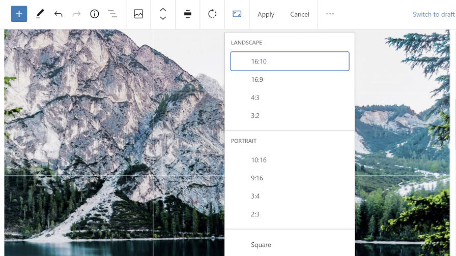 Gutenberg 8.4 Adds Image Editing, Includes Multi-Block Controls, and Enables Block Directory Search