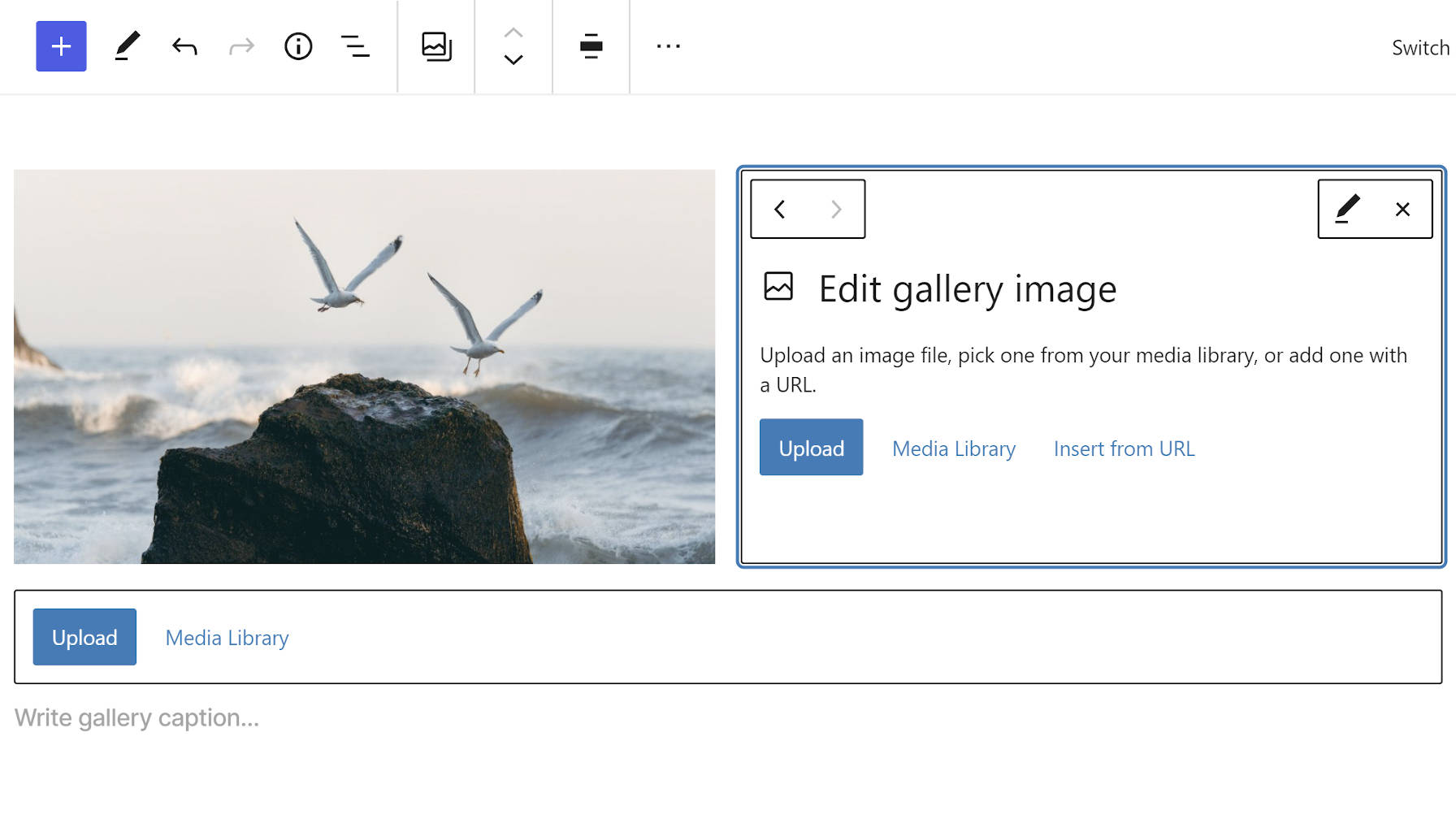 Editing a single gallery image within the block editor.