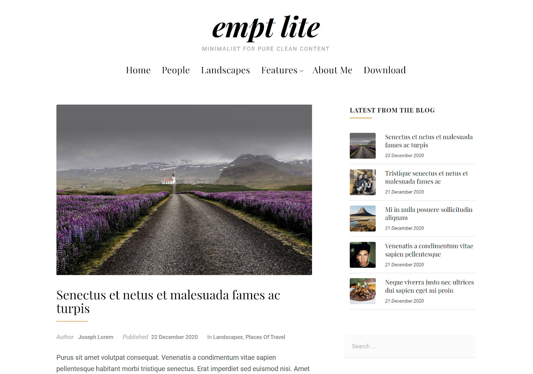 Single blog post view when using the Empt Lite WordPress theme.