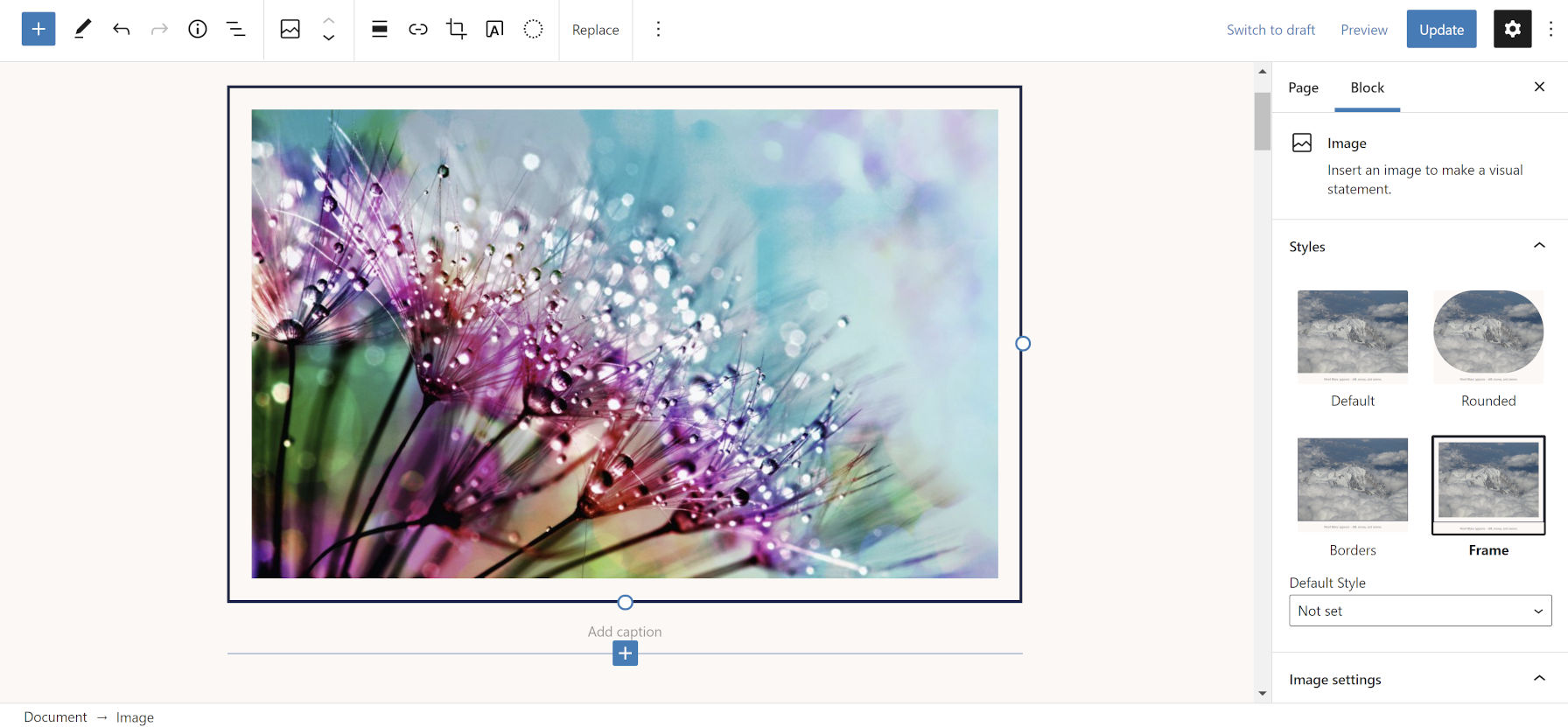 Framed image with black border in the WordPress block editor.