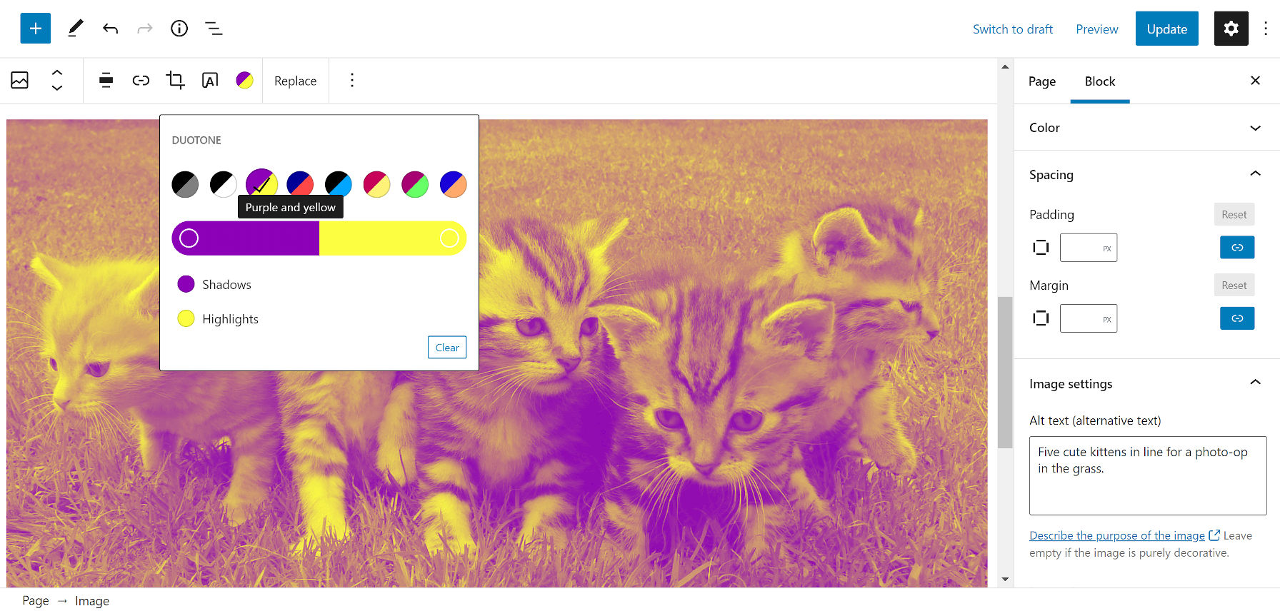Adding a purple and yellow duotone filter over the top of an image of kittens in a field of grass.