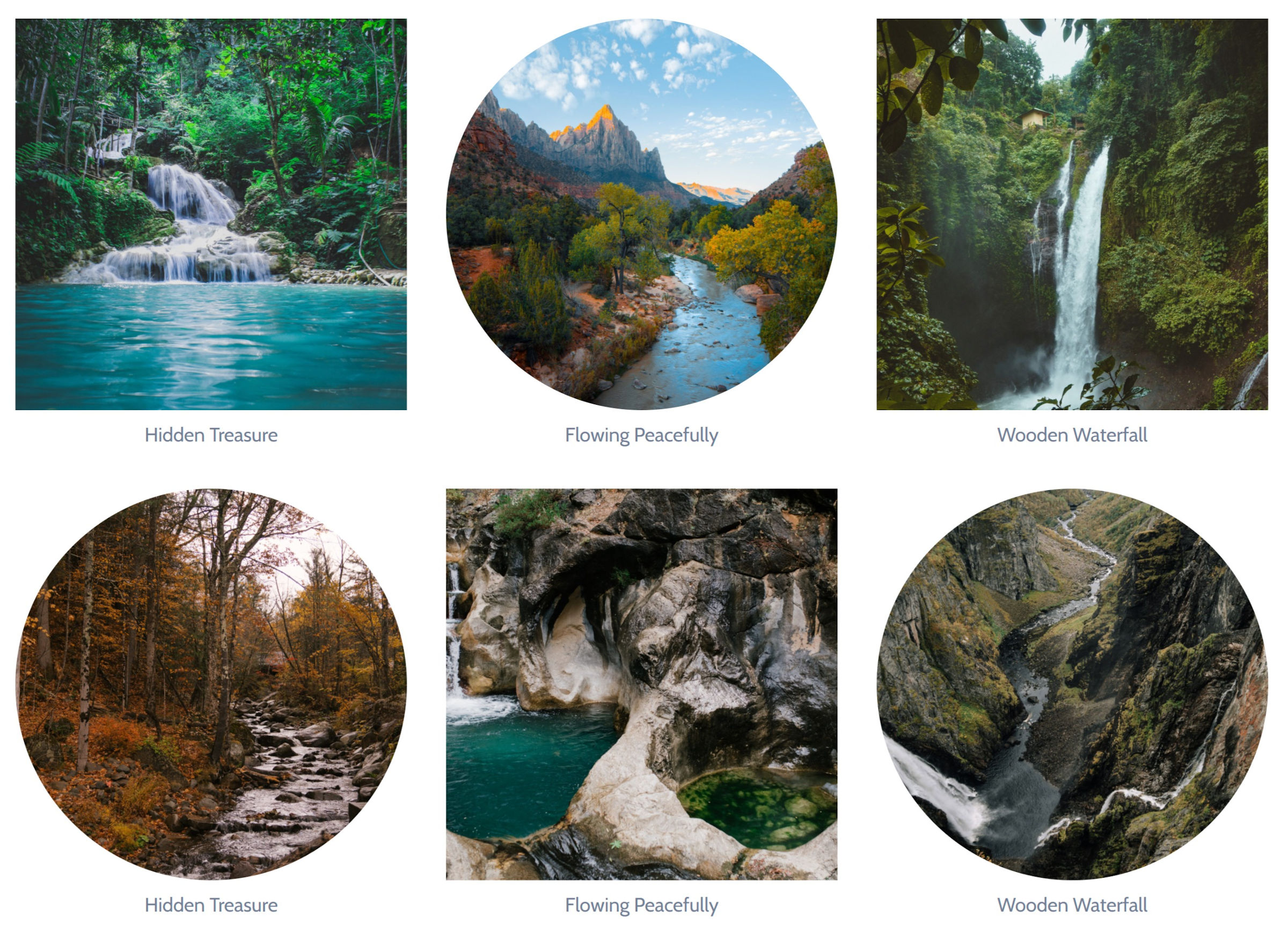 A WordPress Gallery block with alternating circular and square images.