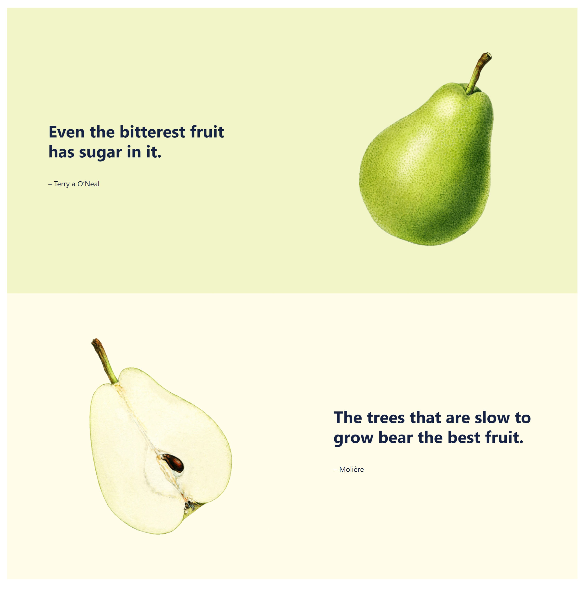 Two sections, each with a fruit and a quote.