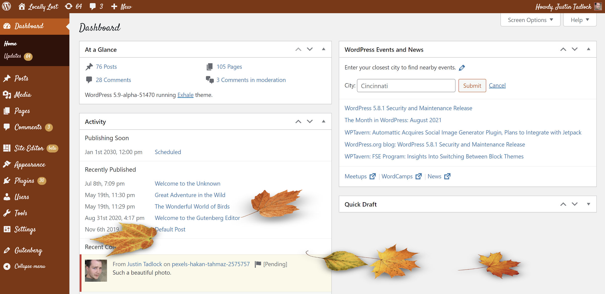 Color scheme of the WordPress dashboard screen when using a pumpkin-spice inspired palette.