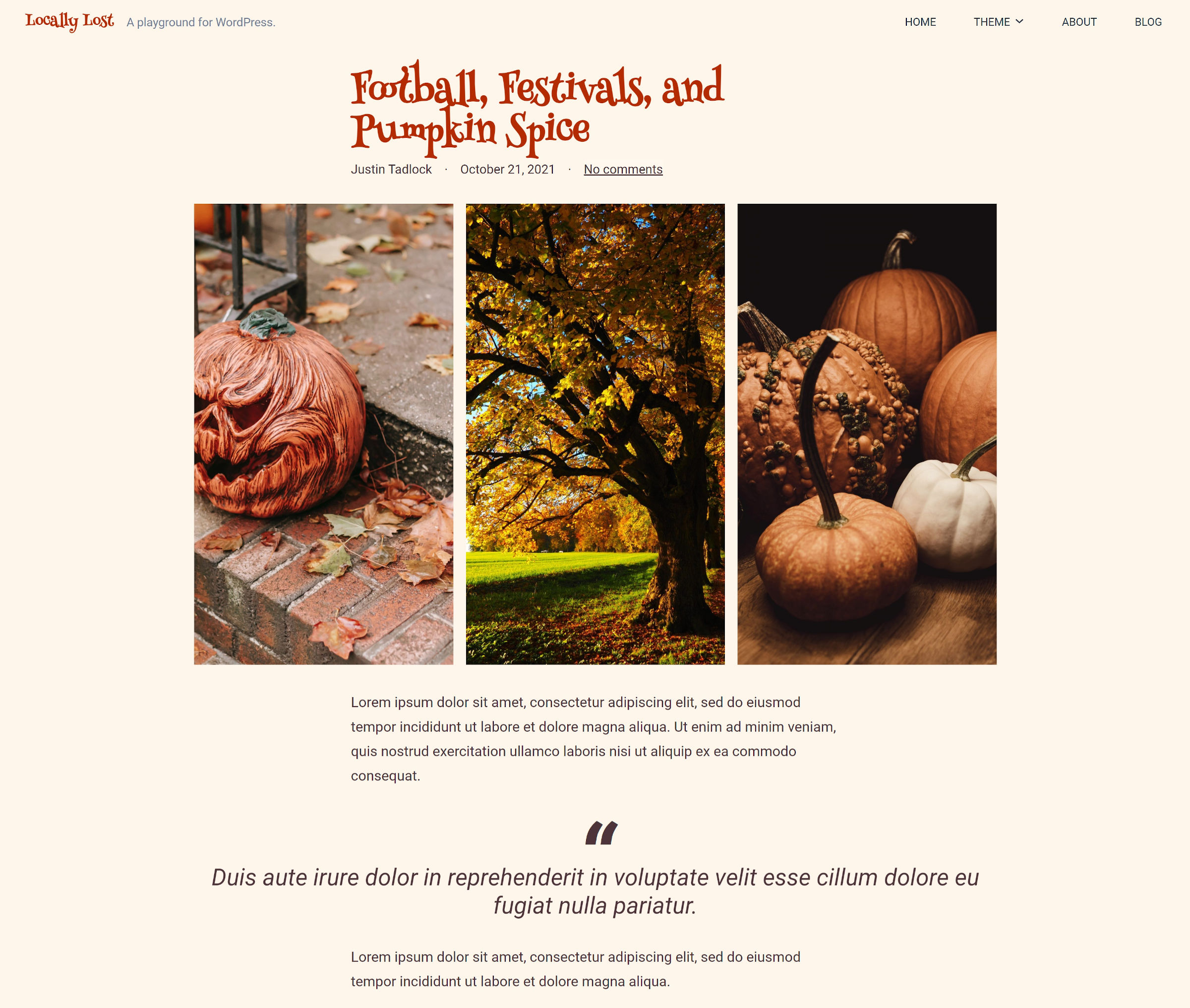 Autumn-styled child theme of browns and oranges displaying a single post.