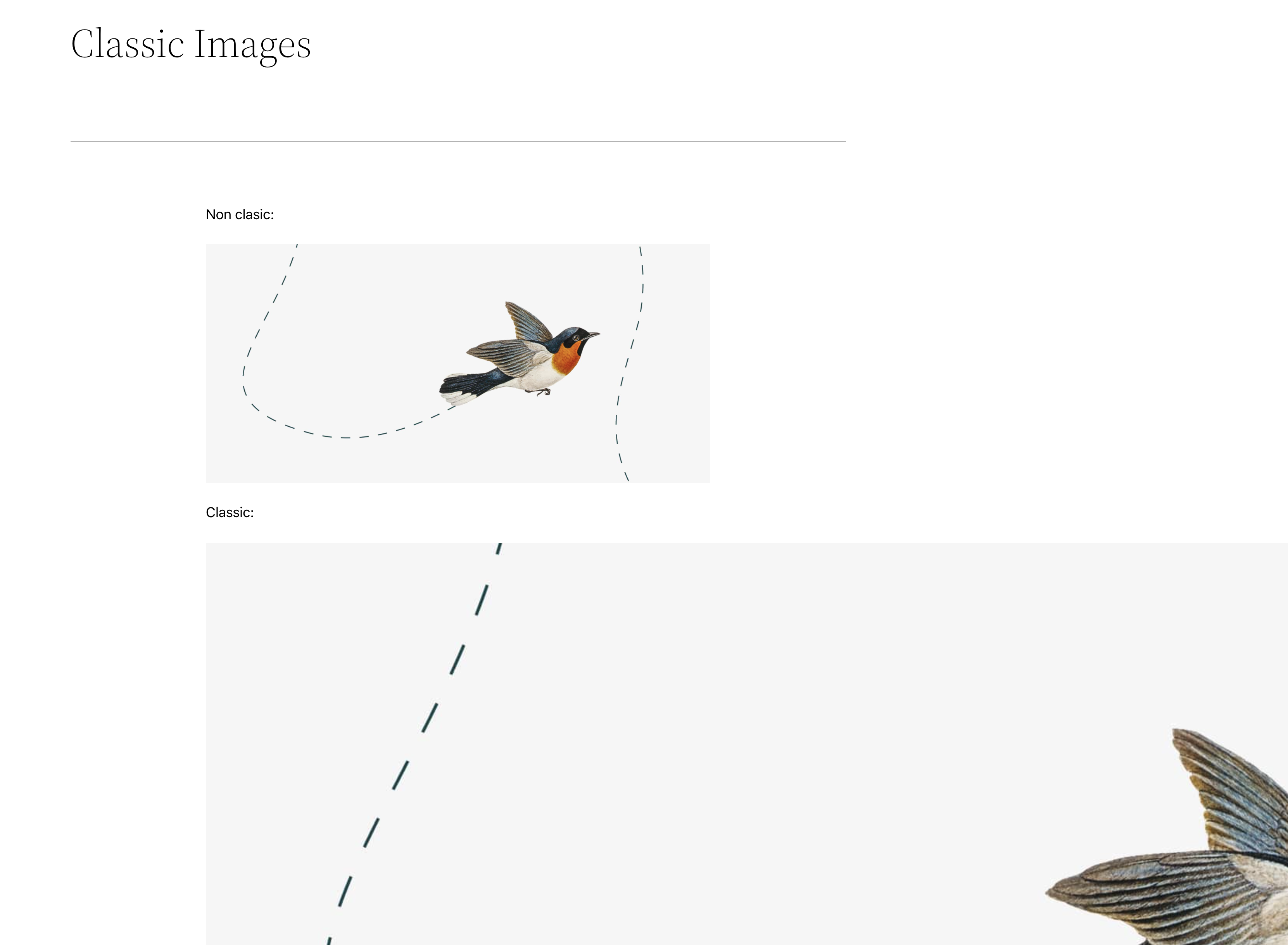 Two bird images from the Twenty Twenty-Two WordPress theme.  The first is correctly constrained by its container. The other pushes outside of it.