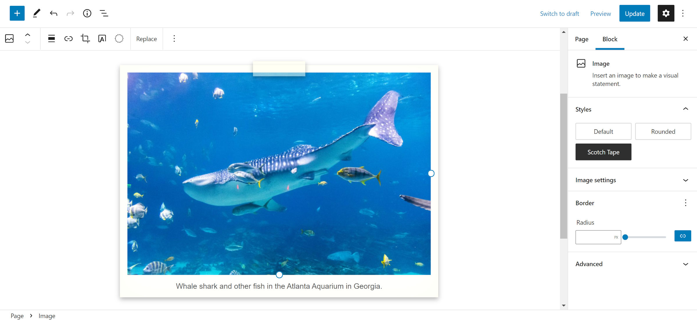 Éditeur de publication WordPress avec une photo d'un requin-baleine dans le canevas de contenu.  Il a une bordure de style Polaroid avec un morceau de ruban adhésif qui semble le maintenir en place.