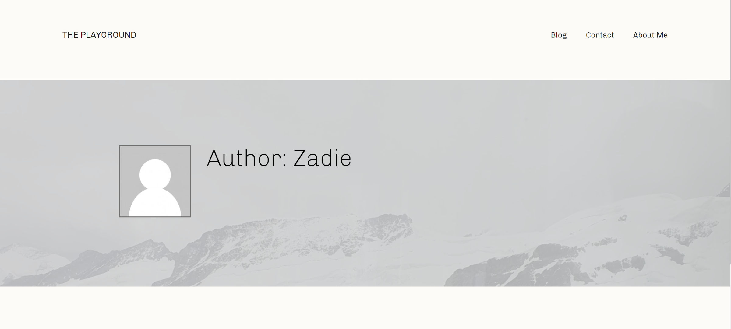 Front end of a WordPress site displaying an author archive without posts.  The default avatar is shown and the author bio is missing.