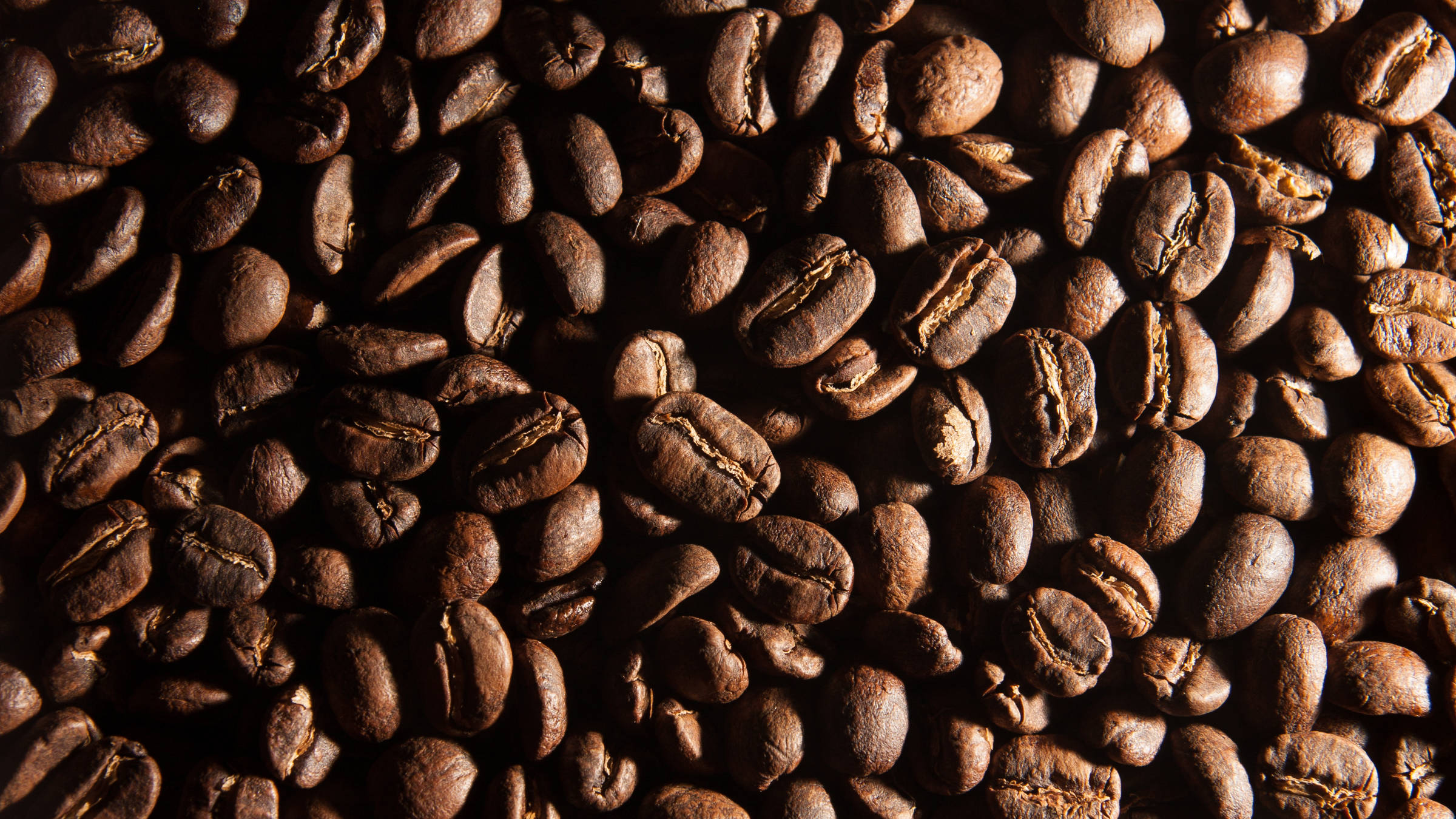 coffee-beans A Farewell from Justin Tadlock design tips
