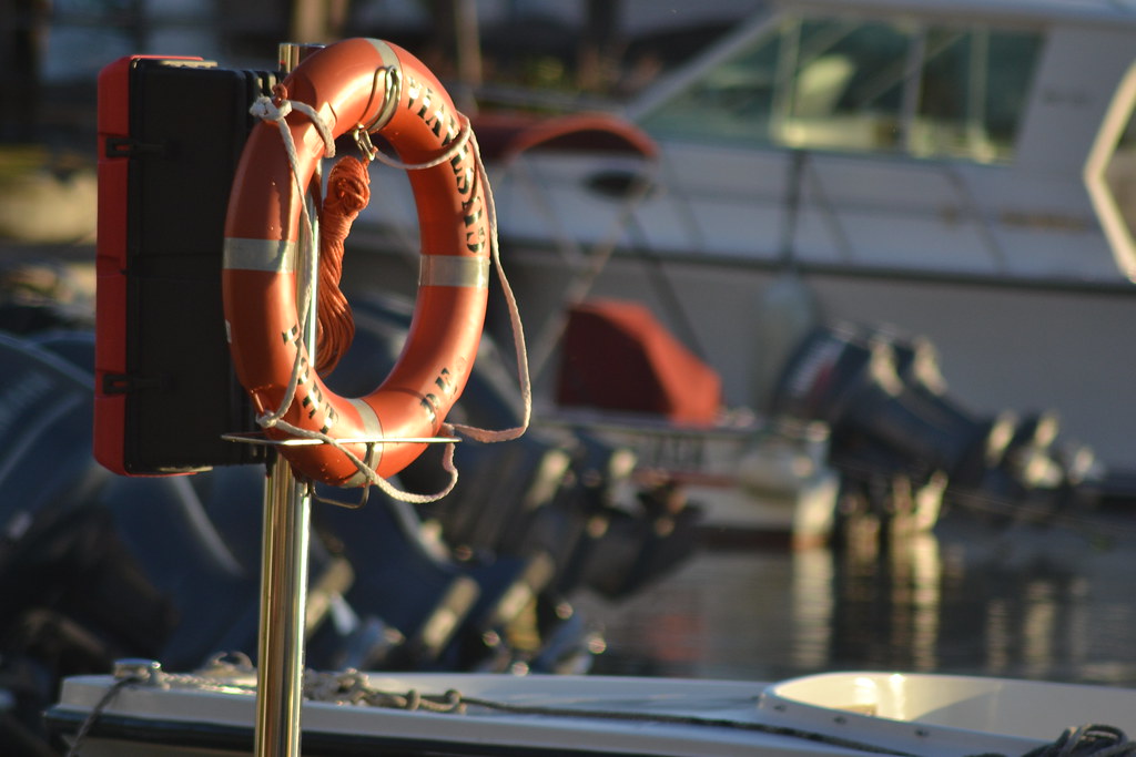 life-buoy Help Test the Rollback Update Failure Feature Plugin Ahead of WordPress 6.1 design tips  